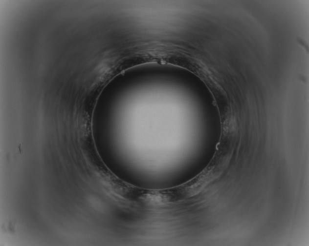 X0000092100464200709121547