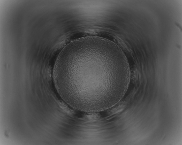 X0000092100466200709121547