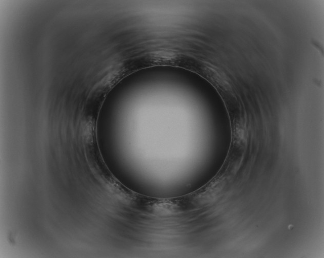 X0000092100468200709121547