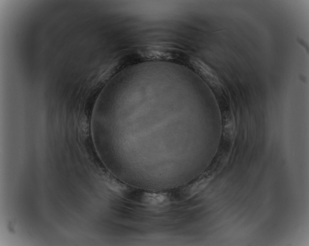 X0000092100469200709121547