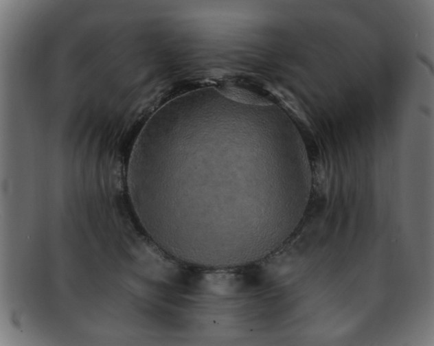X0000092100470200709121547