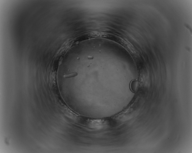 X0000092100473200709121547
