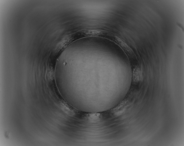 X0000092100474200709121547