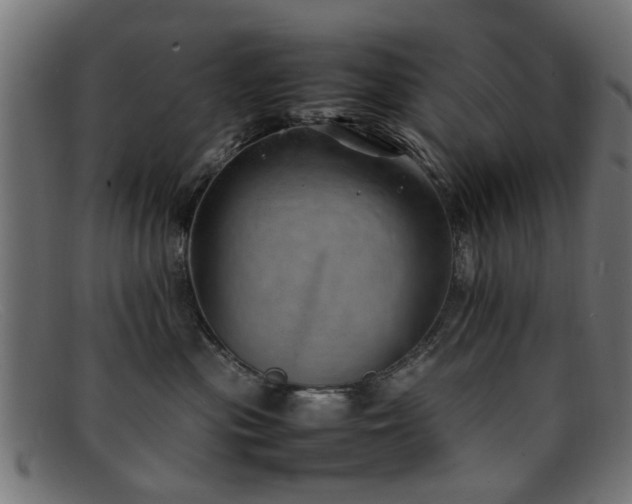 X0000092100477200709121548