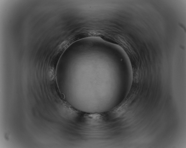 X0000092100478200709121548