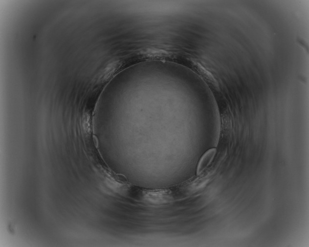 X0000092100479200709121548