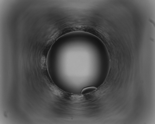 X0000092100480200709121548
