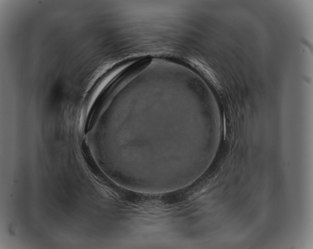 X0000092100483200709121547
