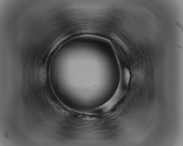 X0000092100484200709121547