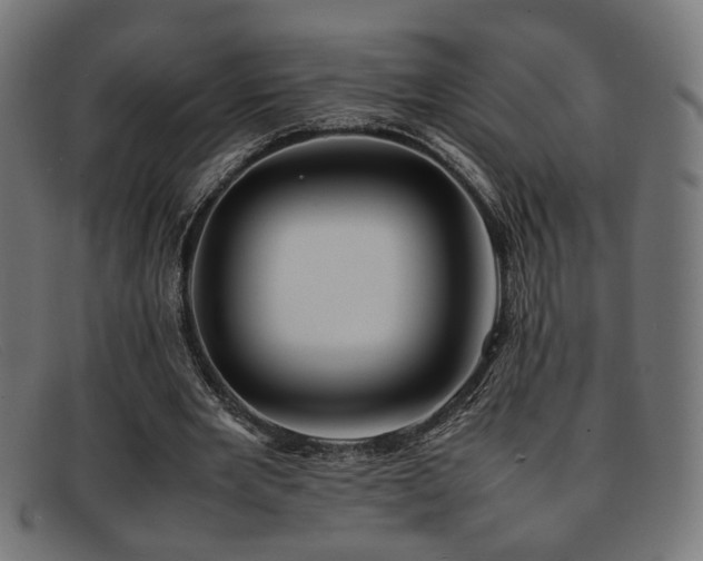 X0000092100485200709121547