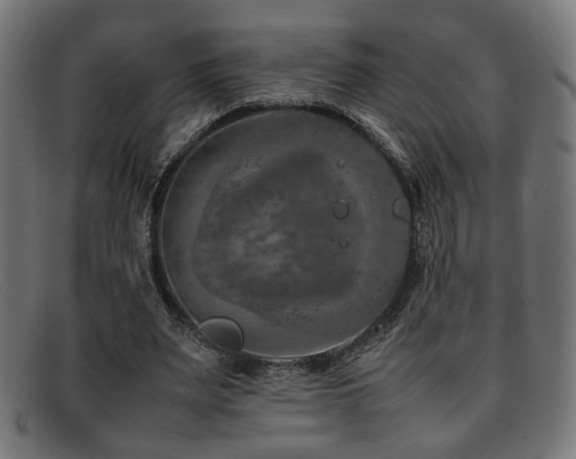 X0000092100487200709121547