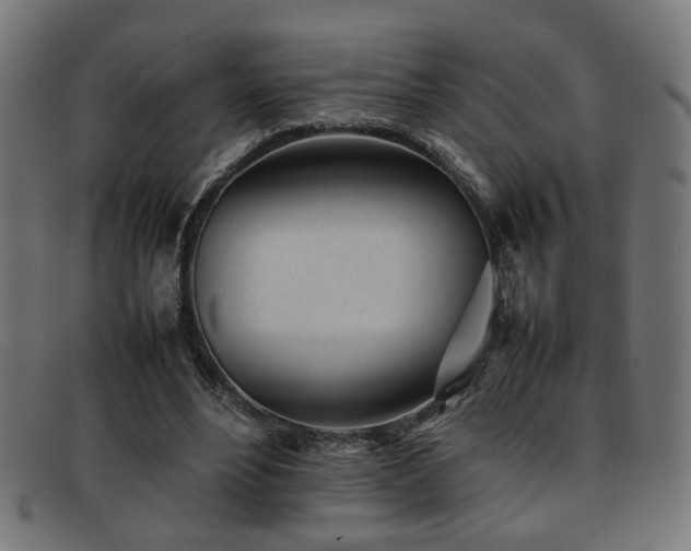 X0000092100488200709121547