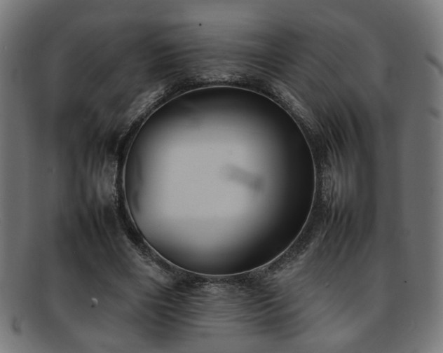 X0000092100490200709121547