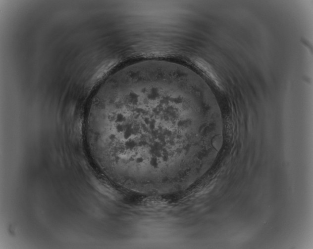 X0000092100491200709121547