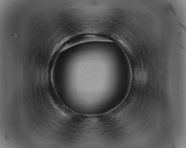 X0000092100492200709121547