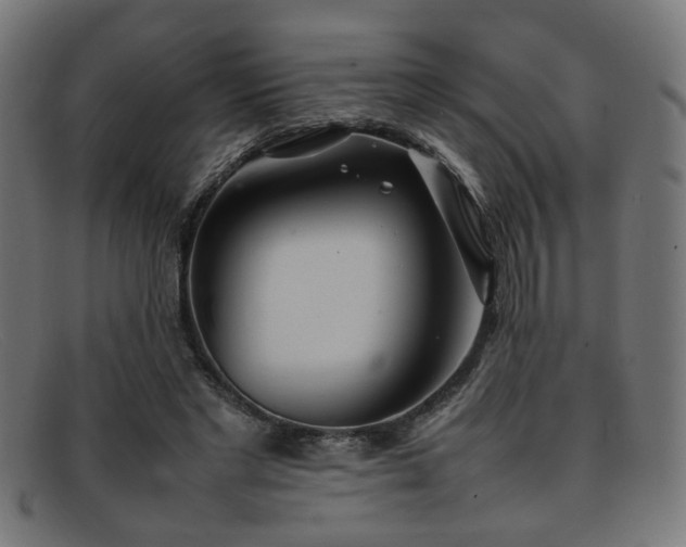 X0000092100493200709121547