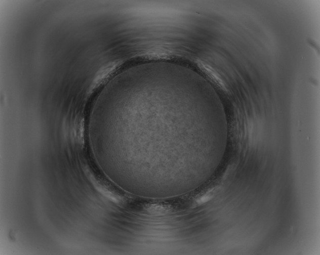 X0000092100494200709121547