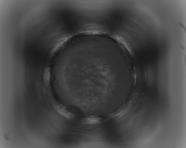 X0000092100495200709121547