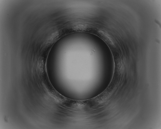 X0000092100498200709121547