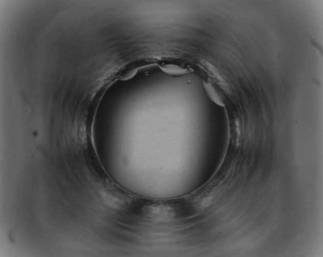 X0000092100500200709121547