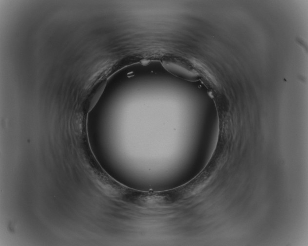 X0000092100501200709121547