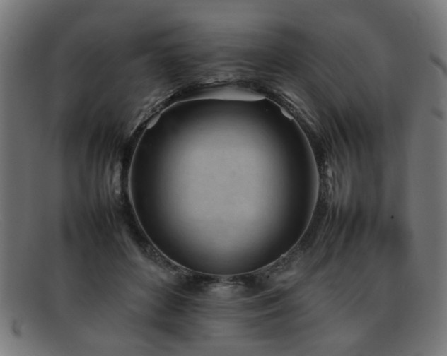 X0000092100504200709121547