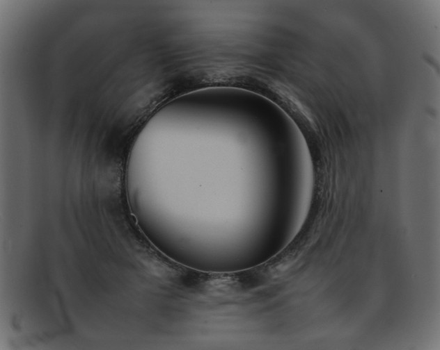 X0000092100505200709121547