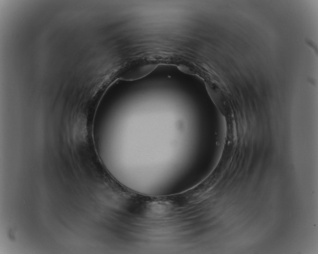 X0000092100508200709121547
