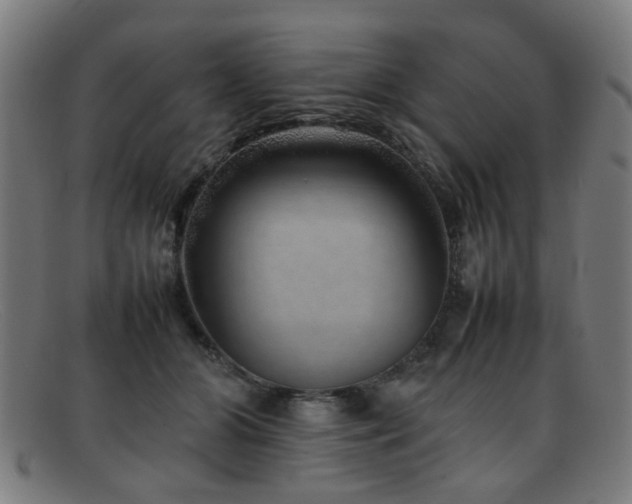 X0000092100510200709121547