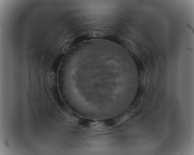 X0000092100511200709121547
