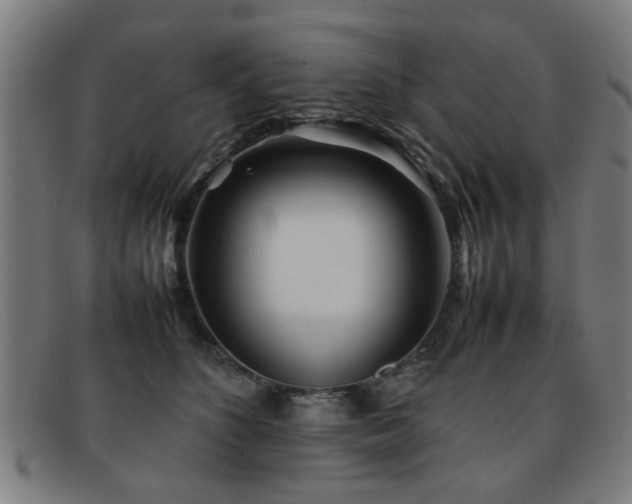 X0000092100516200709121547