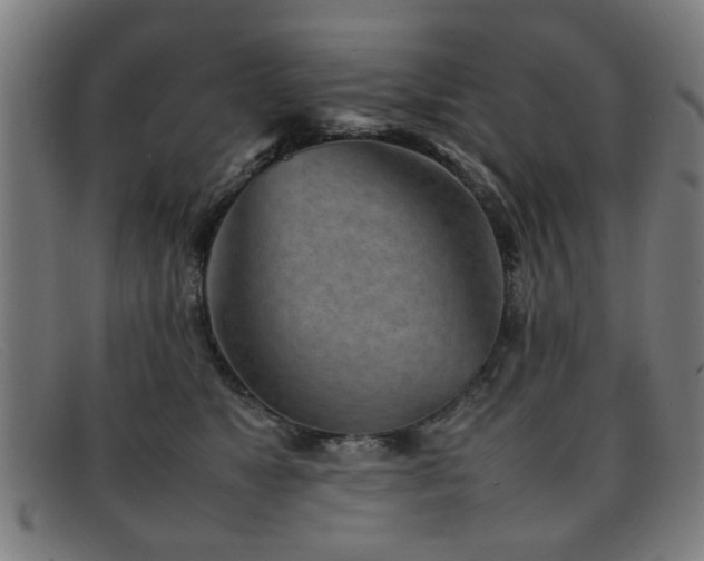 X0000092100517200709121547