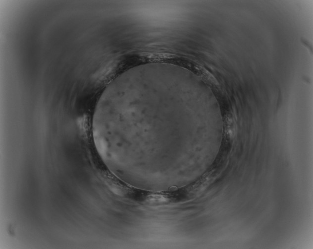 X0000092100519200709121547