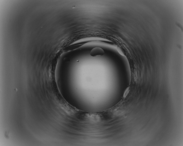 X0000092100520200709121547