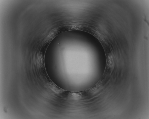 X0000092100522200709121546