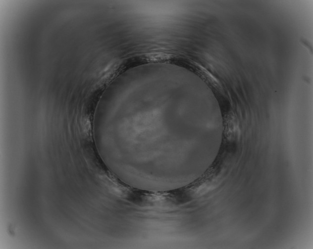 X0000092100523200709121546