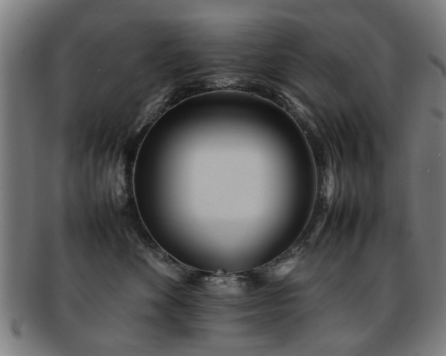 X0000092100524200709121546