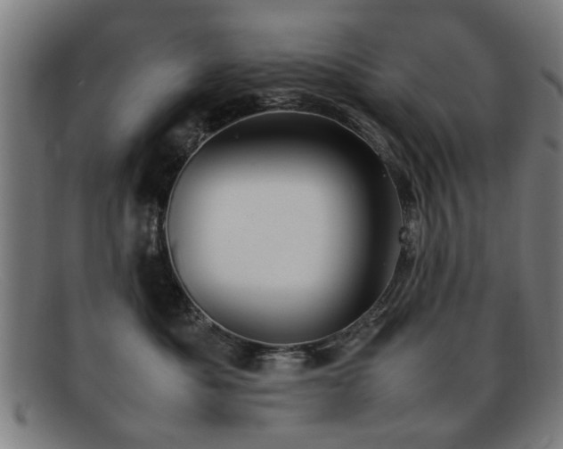 X0000092100525200709121546