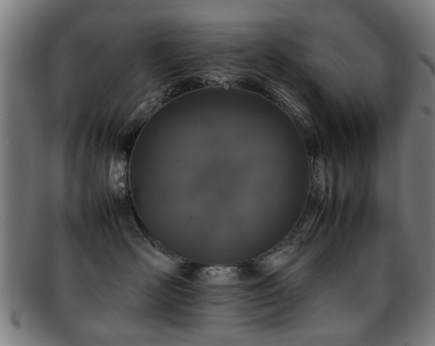 X0000092100526200709121546