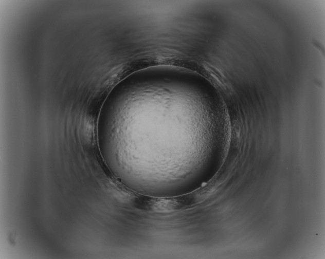 X0000092100527200709121546