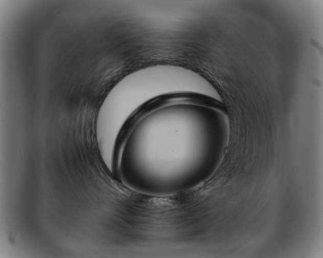 X0000092100528200709121546