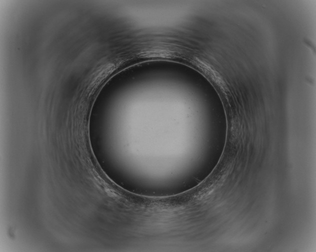 X0000092100529200709121546