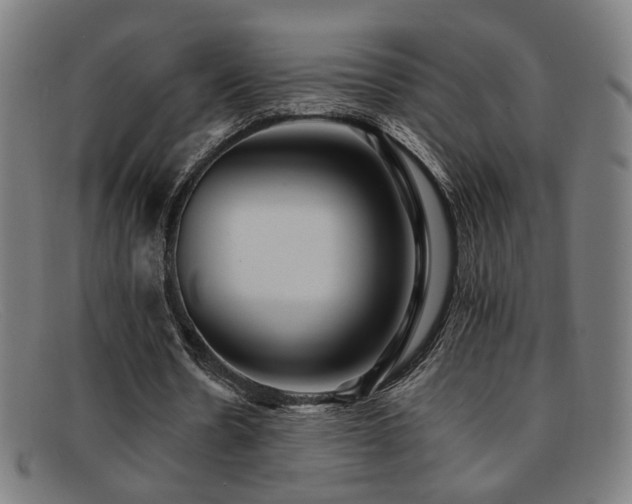 X0000092100530200709121546