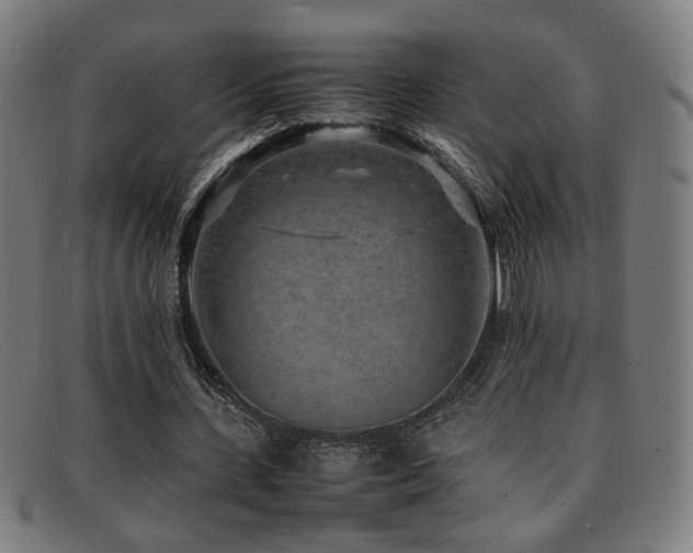 X0000092100531200709121546