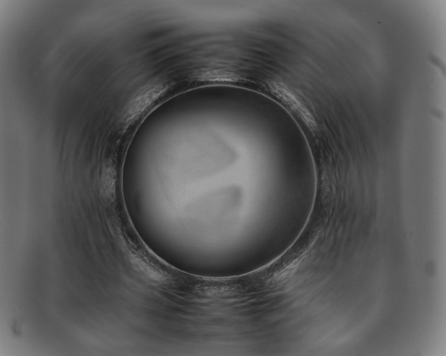 X0000092100533200709121546