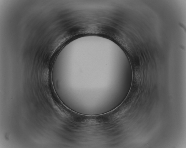 X0000092100534200709121546