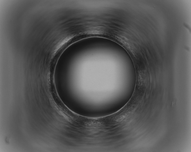 X0000092100535200709121546