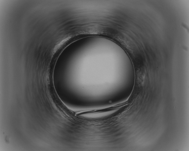 X0000092100536200709121546
