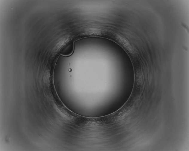 X0000092100538200709121546