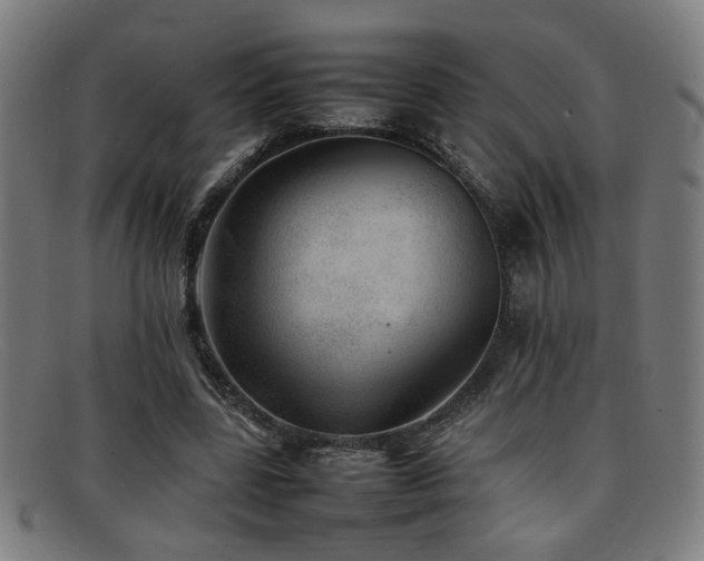 X0000092100539200709121546